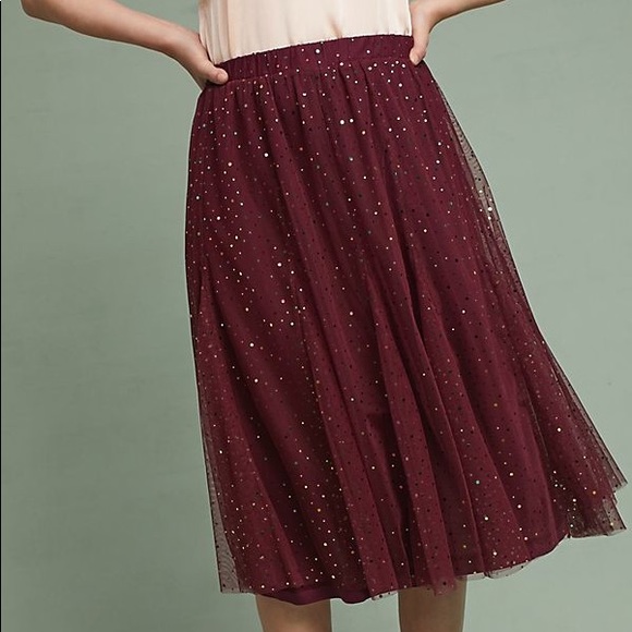 Anthropologie Dresses & Skirts - NWT ANTHROPOLOGIE Iris Tulle Skirt size Med